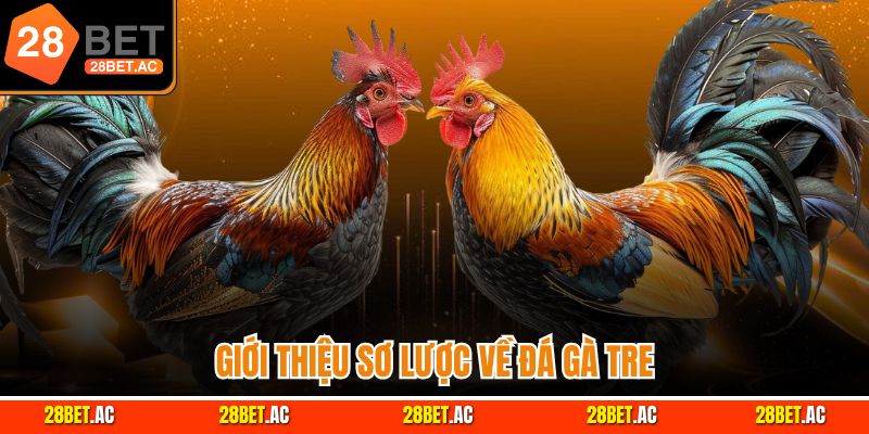 Giới thiệu sơ lược về đá gà tre